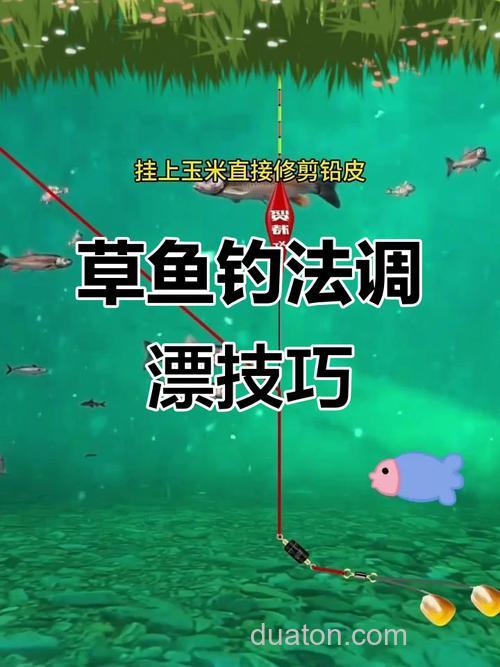 玉米钓草鱼钓离底怎么调漂?