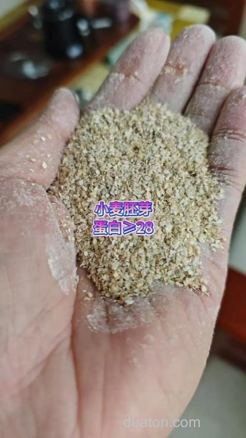 鲢鳙饵料的小麦胚芽比例?