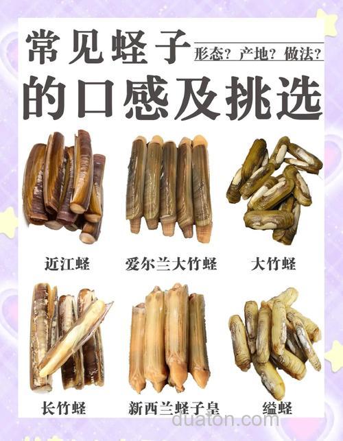 什么叫蛏子