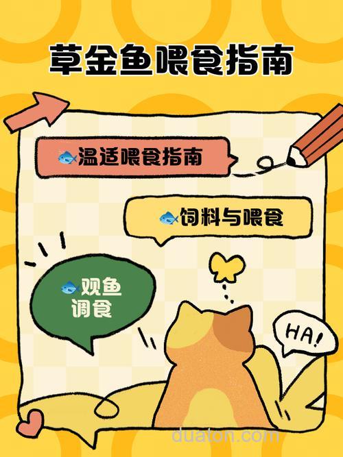 剩饭剩菜喂鱼的正确方法？