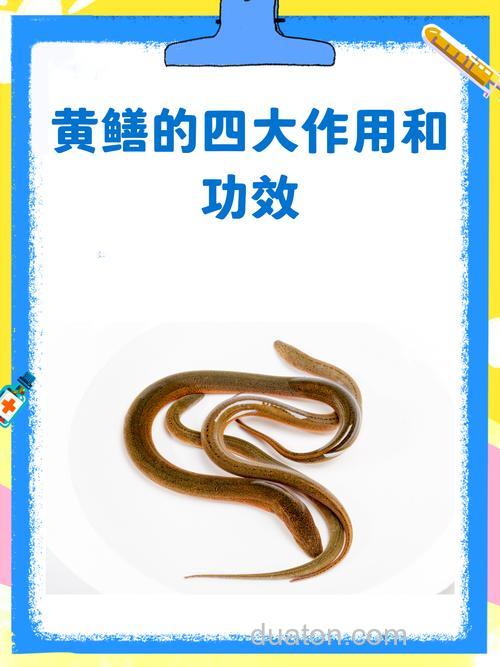 谁有真正的黄鳝诱饵秘方啊!