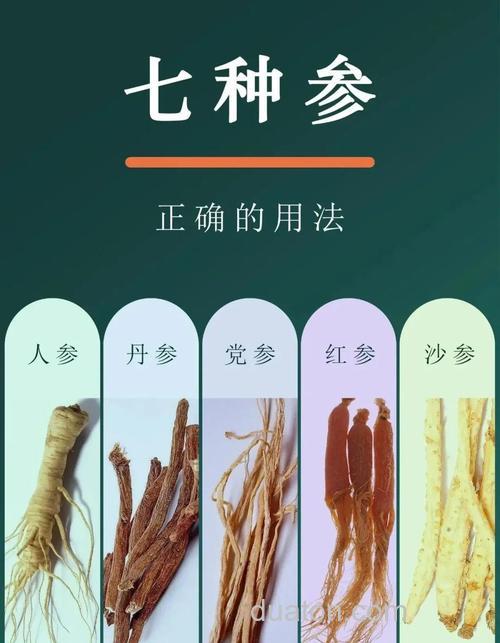 肉鱼三参是指哪三参?