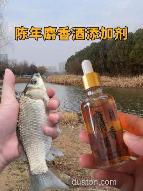 麝香酒要泡多久？