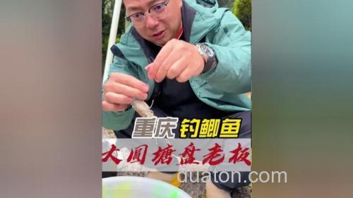 黑坑钓麻鲫?