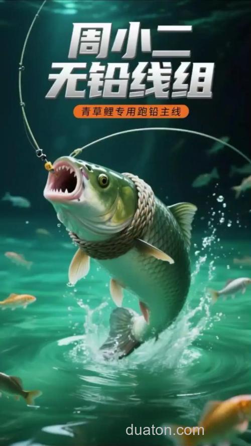 狂垃青鲤钓鲤鱼怎么配