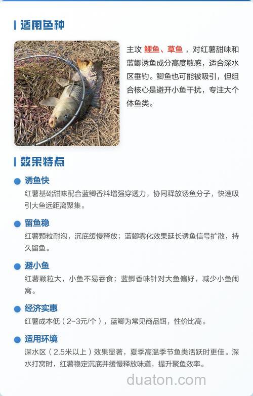红薯配蓝鲫好还是配918好？
