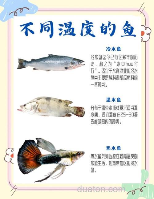 秋季气温17度鱼在深水还是浅水?