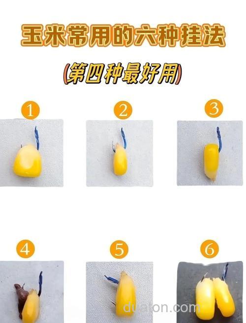 新鲜苞谷钓鱼制作方法