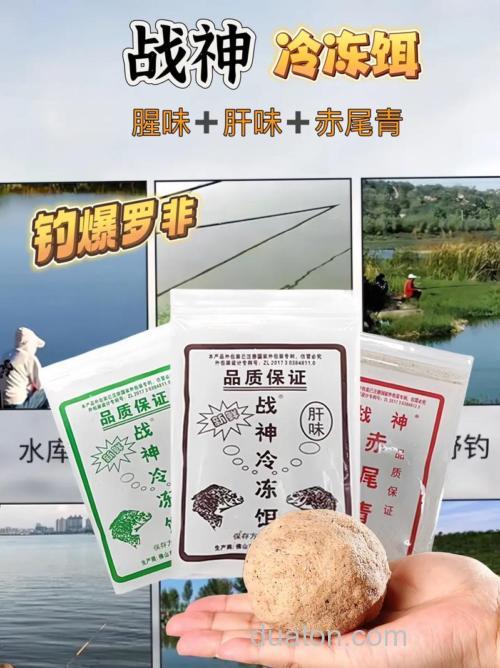 战神冻饵钓鲮鱼配方?