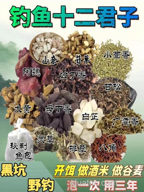 中药诱鱼配方?