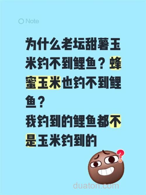 为什么用玉米钓不到鲤鱼?