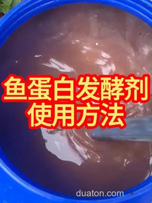 生物酶发酵鱼饵技术?