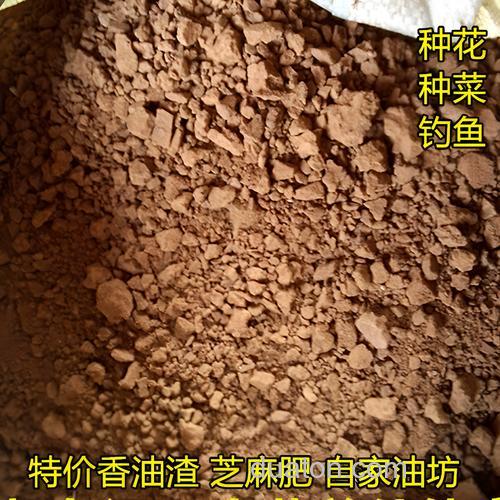 钓鱼公定香油怎么做？