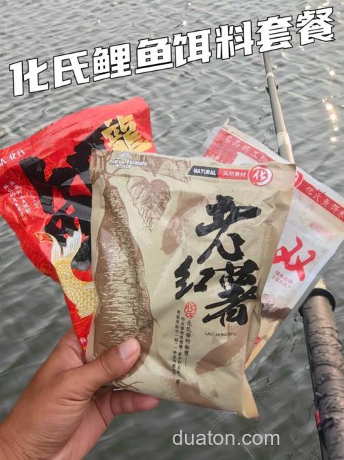 化氏3+1鲤饵料怎么搭配?