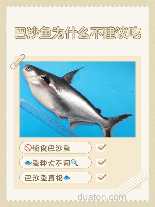 如果你吃了鱼不能吃什么?
