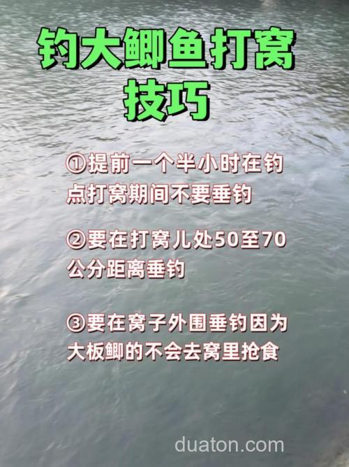 鲫鱼打窝方法台州?