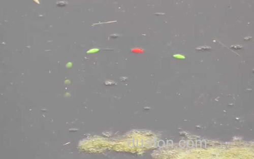 七星漂_1