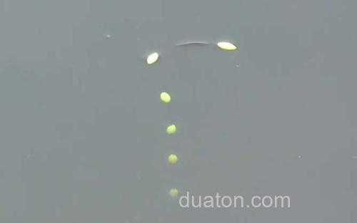 七星漂_2