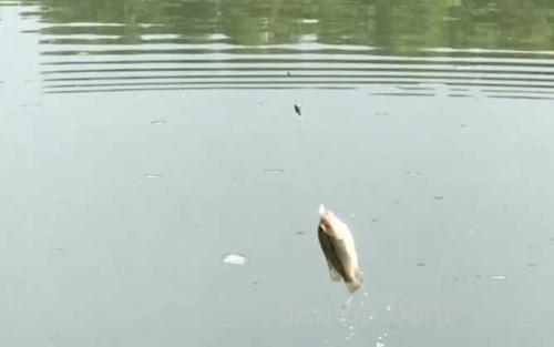 冬季钓鱼_2