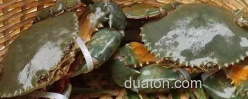三门青蟹_0