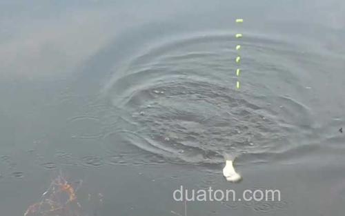 秋季钓鱼_3
