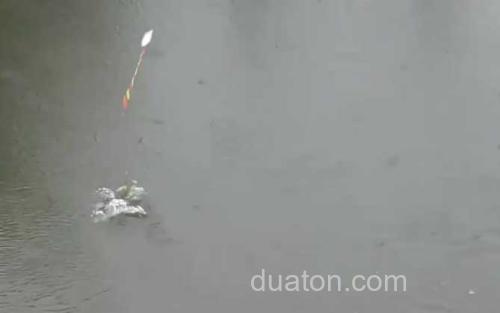 夏季钓鱼_3