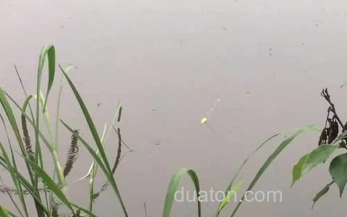初夏钓鱼_0
