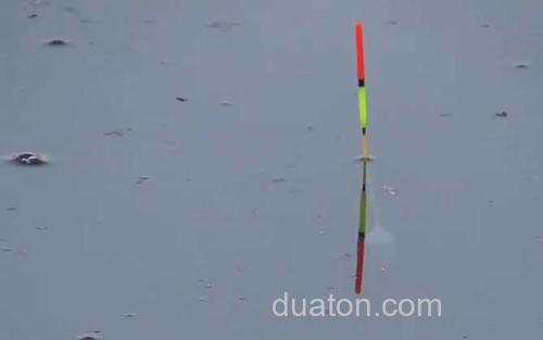 调五目钓三目_1