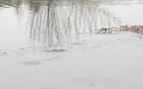 春季钓鱼_3