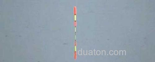 漂相_0