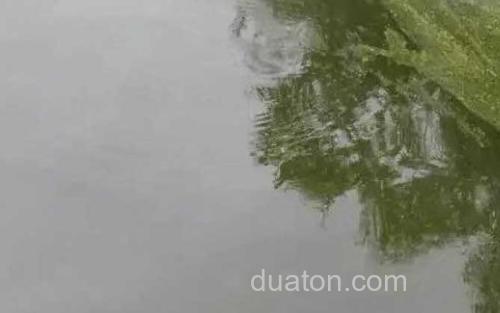 鱼塘_1