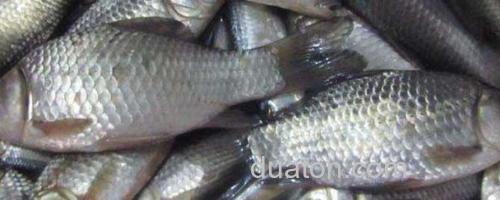 子线_0