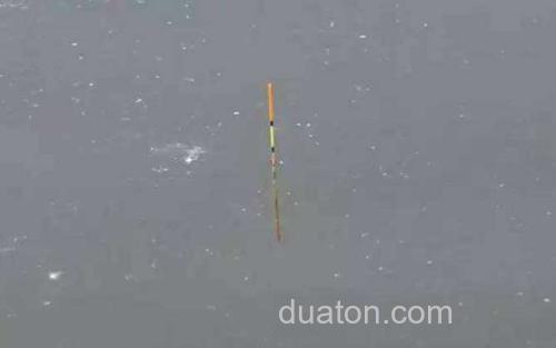 传统钓立漂调漂_0