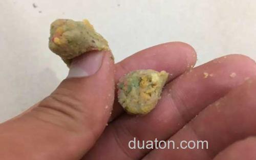 自制饵料_2