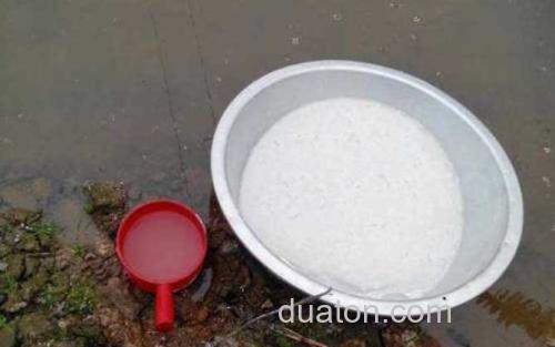 漂白粉_1