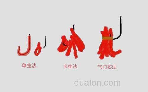 红虫_1