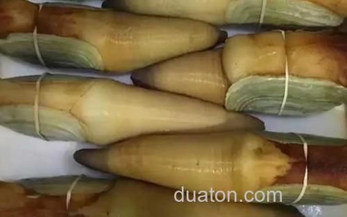 象牙蚌_2