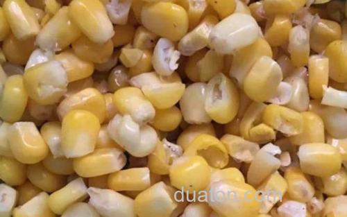 新鲜玉米_2