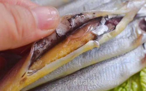 多春鱼_3