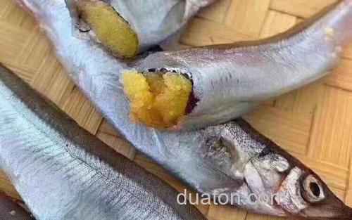 多春鱼_3
