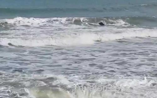 海水_2