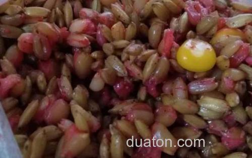 窝料_3