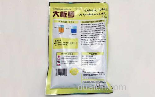 大板鲫_3