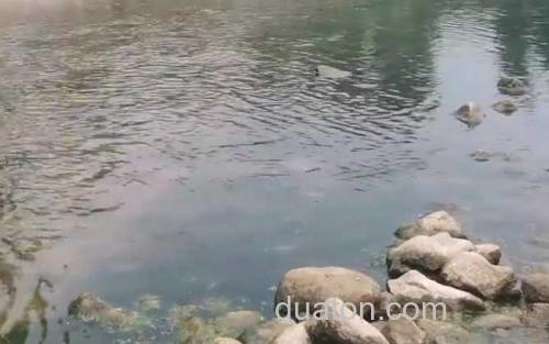 活水_0