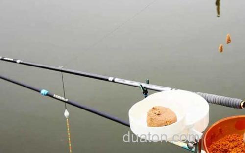 黑坑钓鲤鱼_2