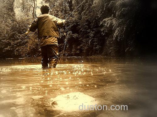 Fly fishing 国内溪流飞钓的小贴士(毛钩篇)_0
