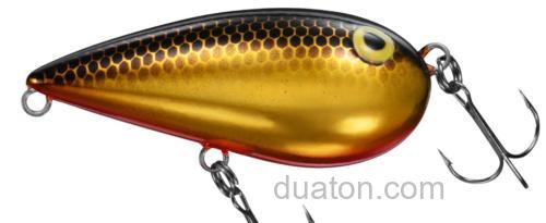 诱惑的杏仁！DAIWA ALMOND_1