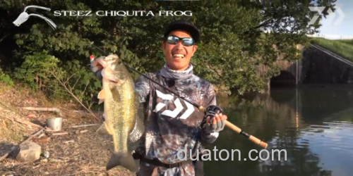 秘密武器小蛙!daiwa Steez Chiquita Frog 超紧凑小鲈蛙_0