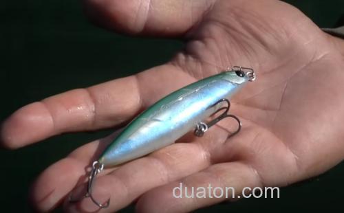 秦拓马新品牌FISH MAGNET推出首款产品 TYGAN90_3