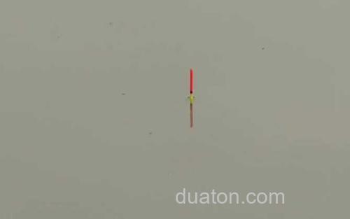 蚯蚓钓鱼_4